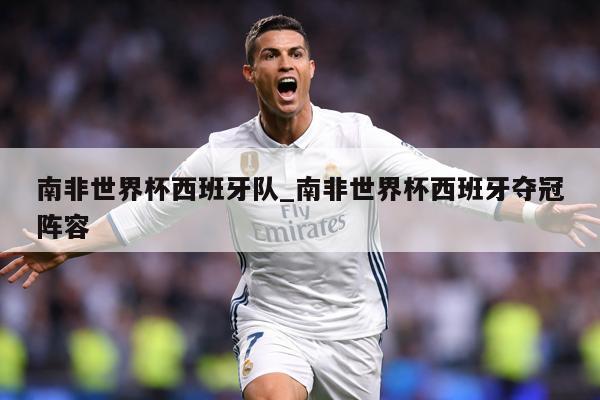 南非世界杯西班牙队_南非世界杯西班牙夺冠阵容