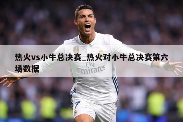 热火vs小牛总决赛_热火对小牛总决赛第六场数据